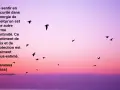 Un pressentiment amoureux flotte dans l'air, comme ces oiseaux silhouette sur un ciel rose et violet. Un sentiment de paix et de protection.