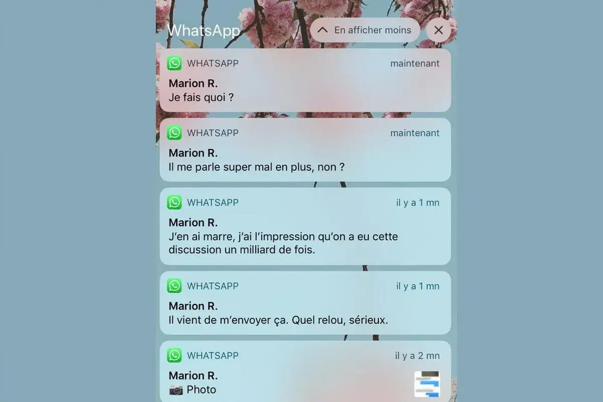 Notifications WhatsApp de Marion R. : 